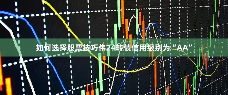如何选择股票技巧伟24转债信用级别为“AA”