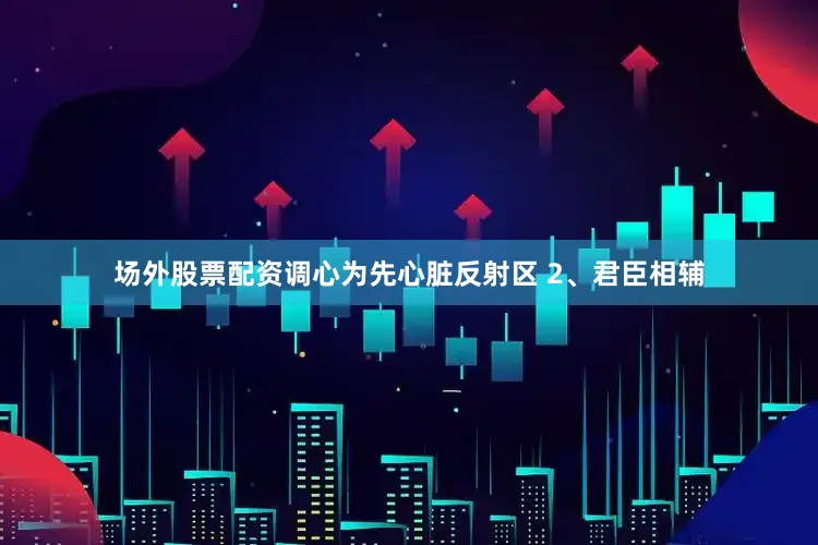 场外股票配资调心为先心脏反射区 2、君臣相辅