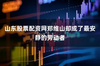 山东股票配资网郑维山却成了最安静的劳动者